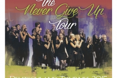 The Never Give Up! poster